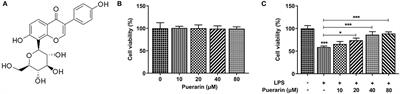 Puerarin Inhibits Ferroptosis and Inflammation of Lung Injury Caused by Sepsis in LPS Induced Lung Epithelial Cells